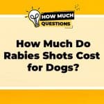How Much Do Rabies Shots Cost for Dogs?