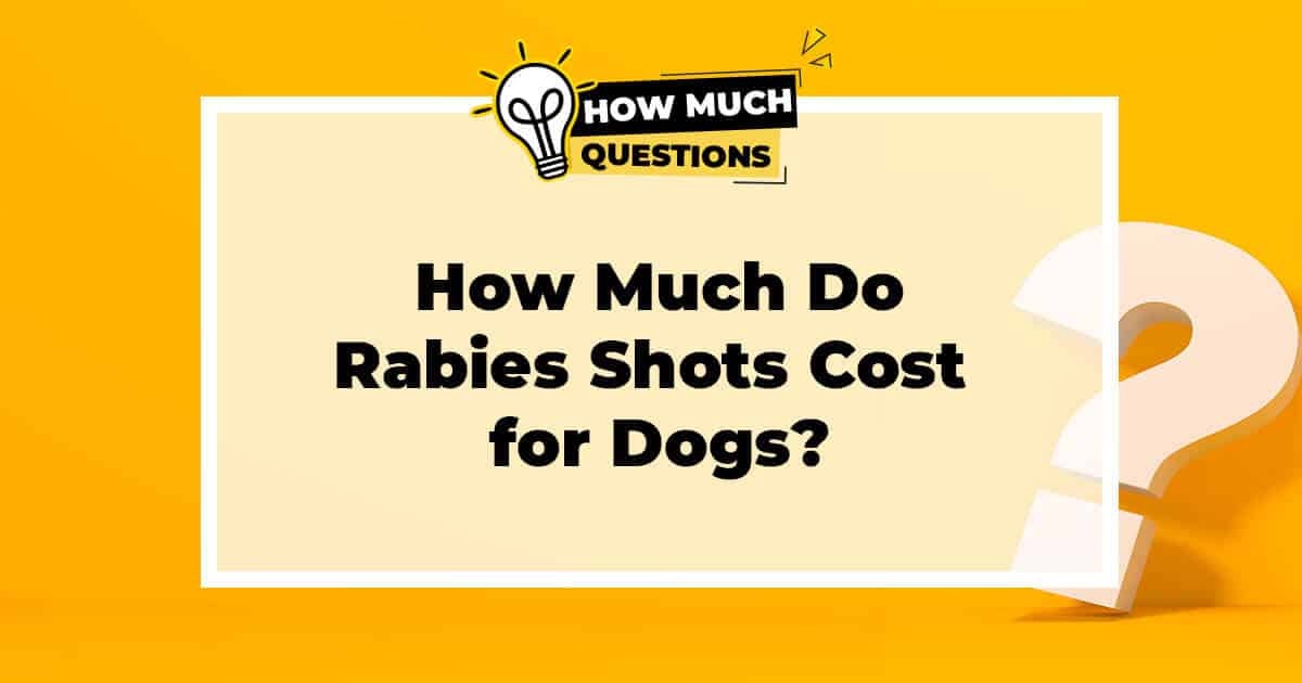 How Much Do Rabies Shots Cost for Dogs?