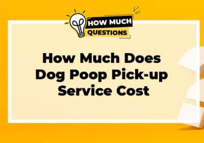 How Much Does Dog Poop Pick-up Service Cost