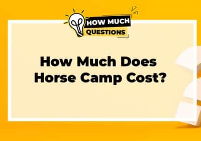 How Much Does Horse Camp Cost?