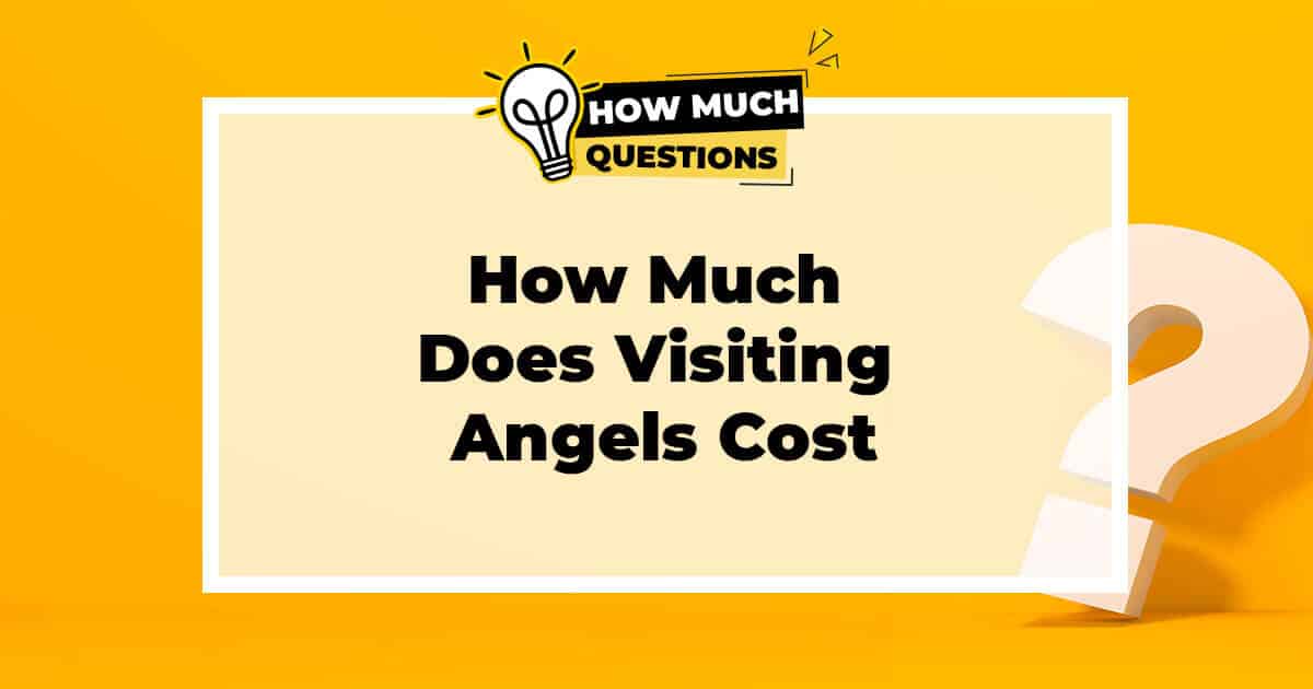 How much does visiting angels cost