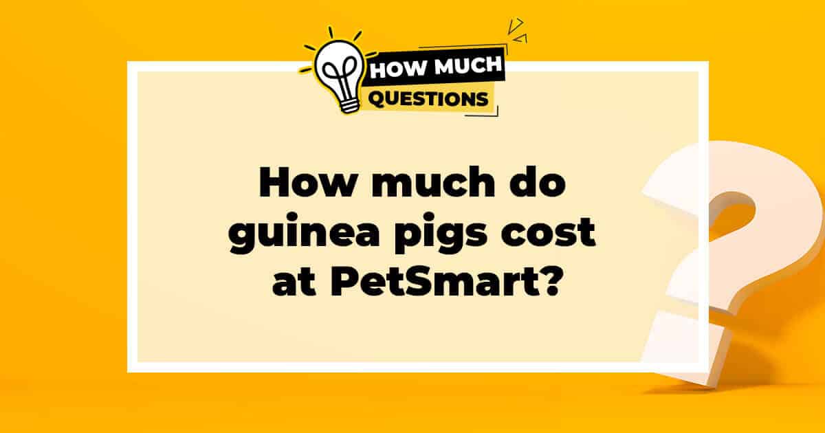 How much do guinea pigs cost at PetSmart?
