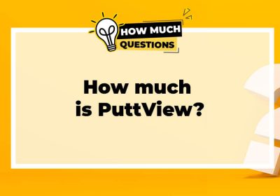 How much is PuttView?