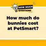 How Much Do Bunnies Cost at PetSmart? A Comprehensive Guide