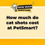 How Much Do Cat Shots Cost at PetSmart? A Comprehensive Guide