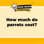 How Much Do Parrots Cost? A Comprehensive Guide