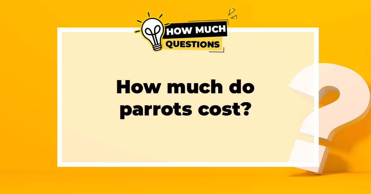 How Much Do Parrots Cost?
