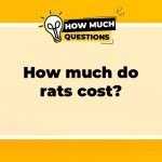 How much do rats cost? A Comprehensive Guide