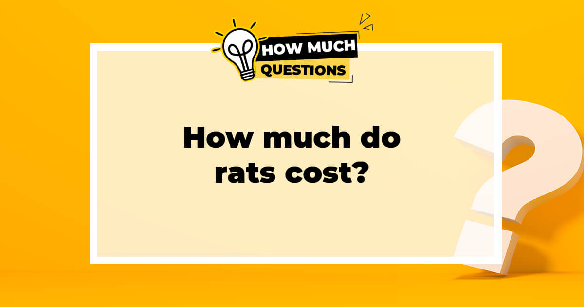 How much do rats cost?
