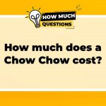 How Much Does a Chow Chow Cost? A Comprehensive Guide