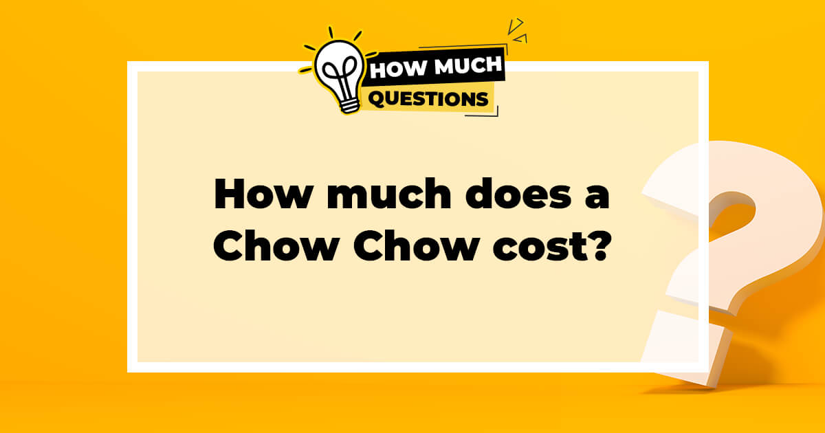 How much does a Chow Chow cost?