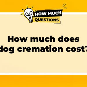 How much does dog cremation cost?