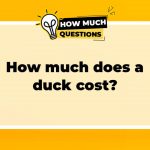 How much does a duck cost?