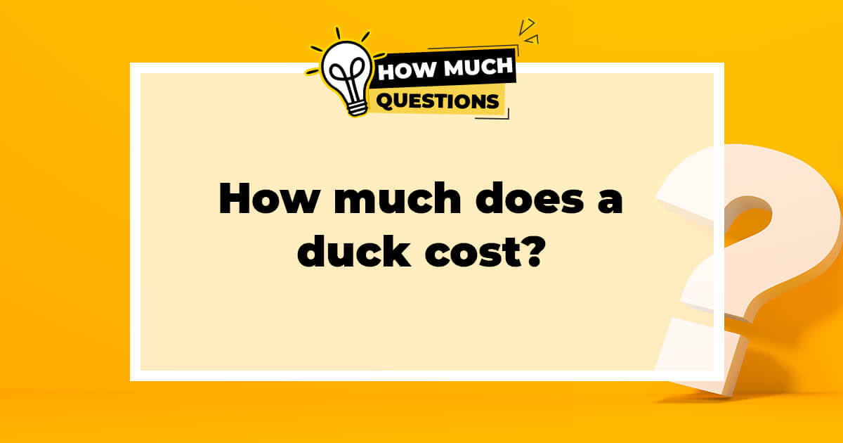 How Much Does a Duck Cost?
