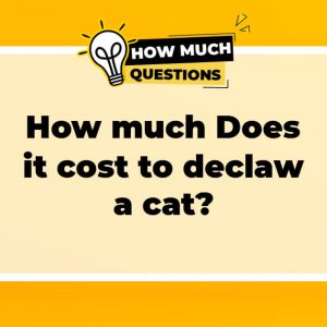 How much does it cost to declaw a cat?