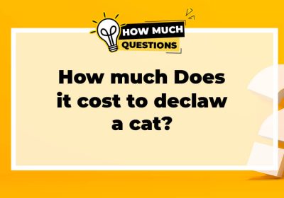 How much does it cost to declaw a cat?