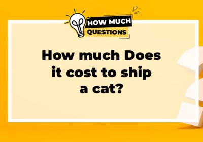 How Much Does It Cost to Ship a Cat?