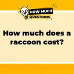 How Much Does a Raccoon Cost? An In-depth Analysis