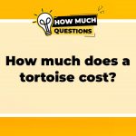 How Much Does a Tortoise Cost?