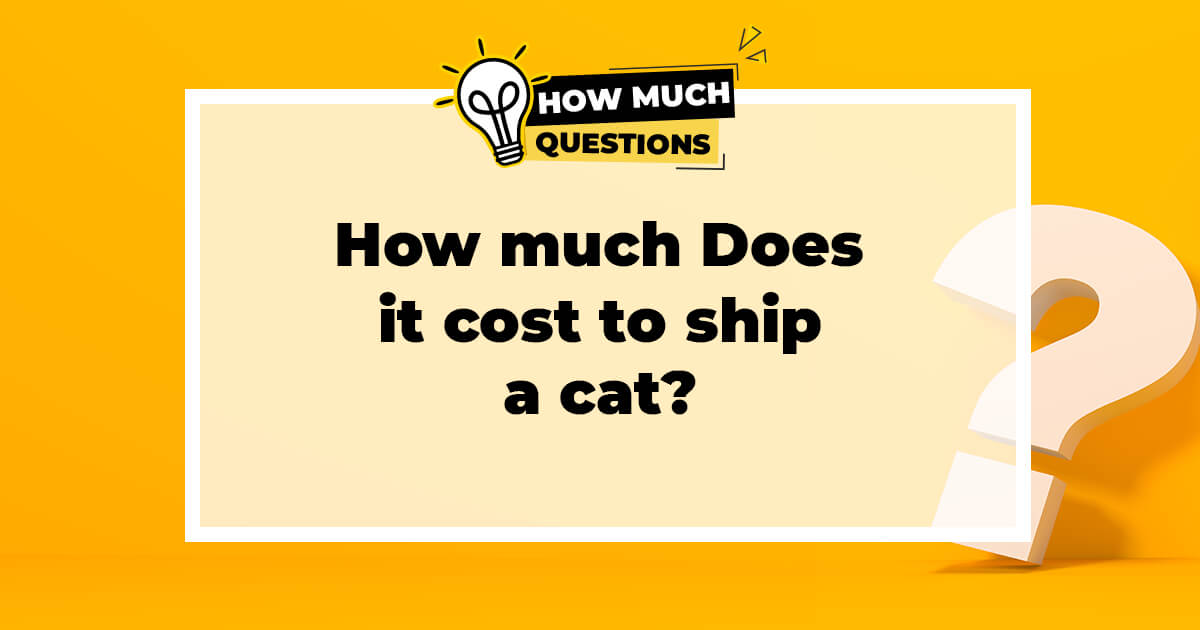 How Much Does It Cost to Ship a Cat?